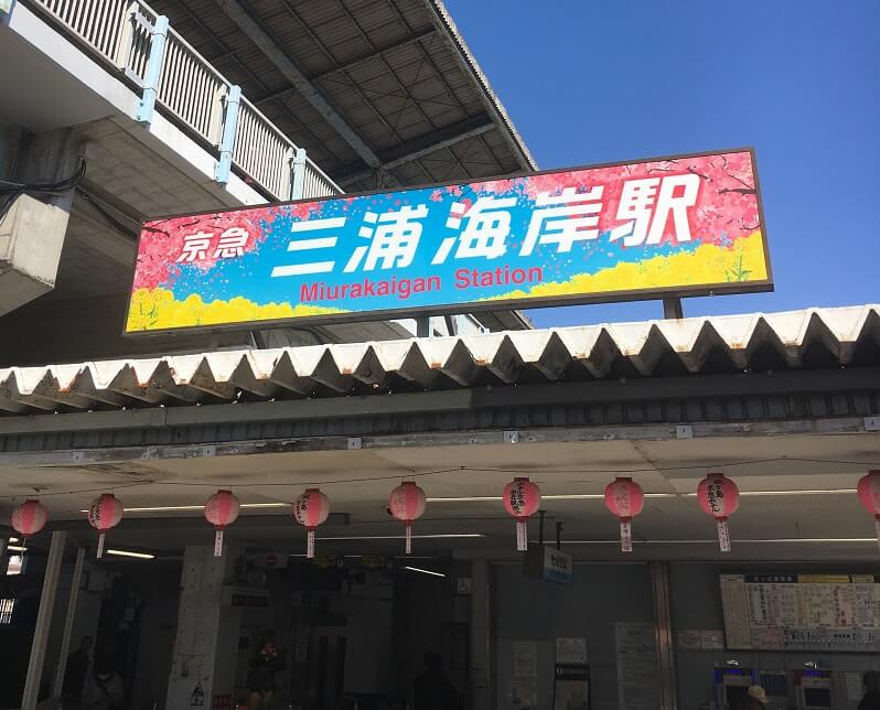 三浦海岸の桜まつり